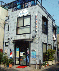 �n�c�擌�����̃w�A�[�T�����i���X�j